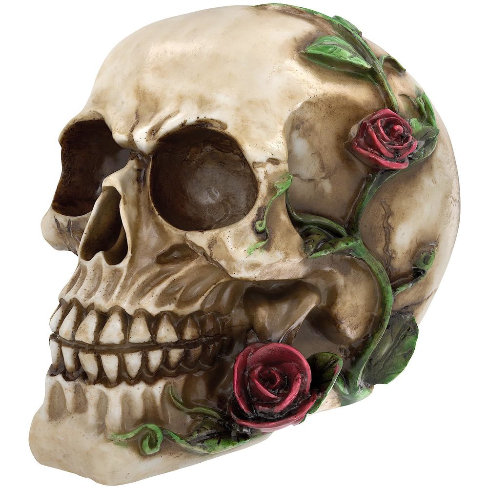 Human Skull With Rose Resin Statue Small Size Head Sculptures Skull🤎